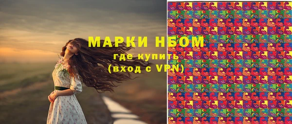 стаф Беломорск
