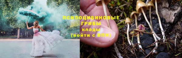 гидропоника Белокуриха