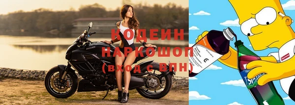 стаф Беломорск