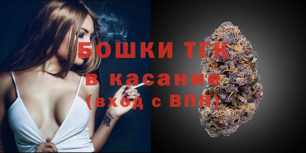 стаф Беломорск